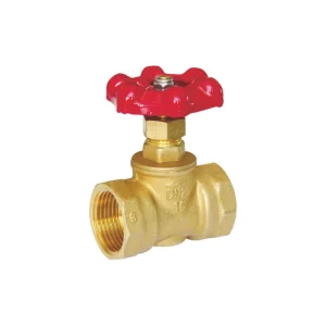 Straight type brass globe valve