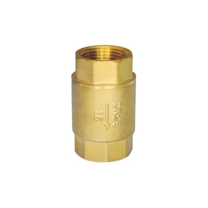 Brass spring check valve