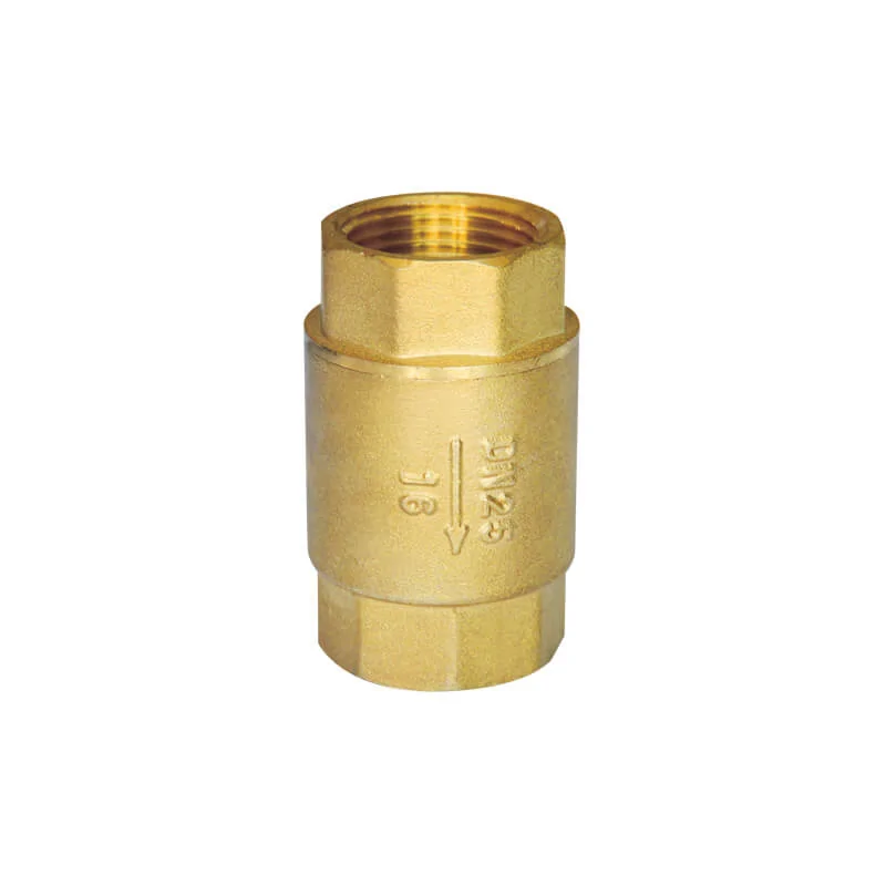 Brass spring check valve