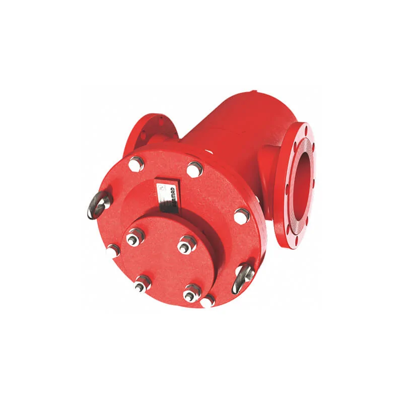 Flushing flanged basket strainer