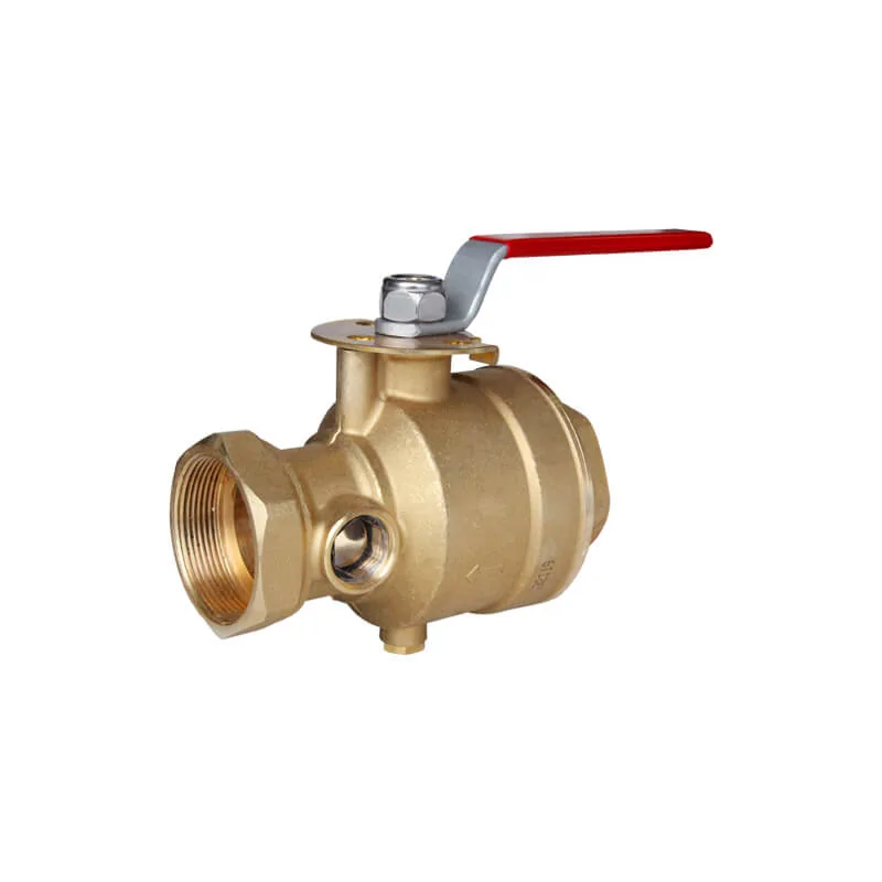 Test and drain valve (Straight type)