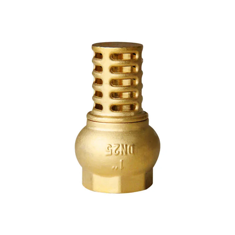 Brass foot valve with strainer