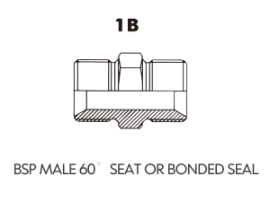 BSP BSPT ADAPTOR BSP MALE 60 SEAT OR BONDED SEAL