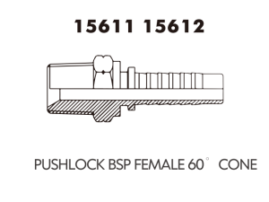 JIC SAE OFRS NPT Fitting PUSHLOCK BSP FEMALE 60 CONE