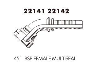 45 BSP FEMALE MULTISEAL