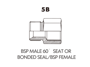 BSP BSPT ADAPTOR BSP MALE 60 SEAT ORBONDED SEAL/BSP FEMALE