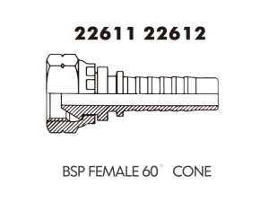 BSP FEMALE 60 CONE