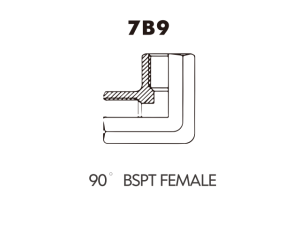 BSP BSPT ADAPTOR 90BSPT FEMALE