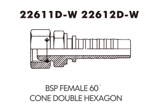 BSP FEMALE 60 CONE DOUBLE HEXAGON