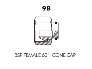 BSP BSPT ADAPTOR BSP FEMALE 60 CONE CAP