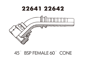 45 BSP FEMALE 60 CONE 