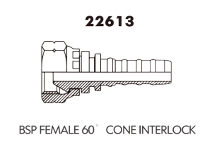BSP FEMALE 60 CONE INTERLOCK