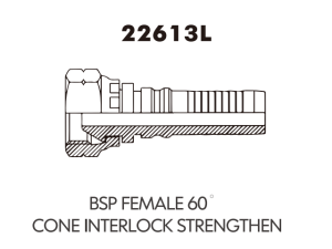 BSP FEMALE 60 CONE INTERLOCK STRENGTHEN