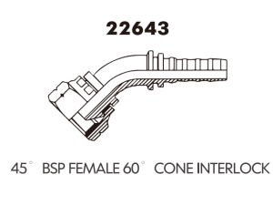 BSP FEMALE 60 CONE INTERLOCK