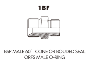BSP BSPT ADAPTOR BSP MALE 60 CONE OR BOUDED SEALORFS MALE O-RING 