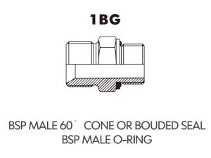 BSP BSPT ADAPTOR BSP MALE 60 CONE OR BOUDED SEALBSP MALEO-RING 