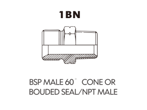 BSP BSPT ADAPTOR BSP MALE 60 CONE ORBOUDED SEAL/NPT MALE