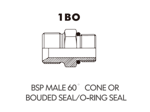 BSP BSPT ADAPTOR BSP MALE 60 CONE ORBOUDED SEAL/O-RING SEAL