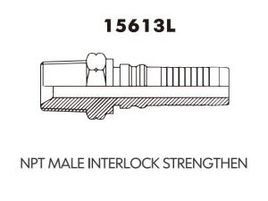 JIC SAE OFRS NPT Fitting