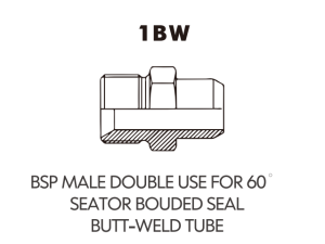 BSP BSPT ADAPTOR BSP MALE DOUBLE USE FOR 60SEATOR BOUDED SEALBUTT-WELD TUBE