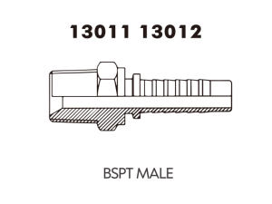 BSPT MALE