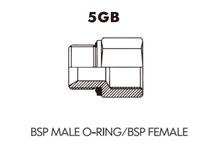 BSP BSPT ADAPTOR BSP MALE O-RING/BSP FEMALE