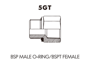 BSP BSPT ADAPTOR BSP MALE O-RING/BSPT FEMALE