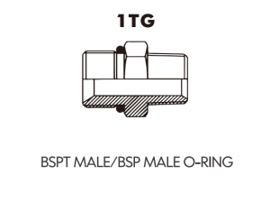 BSP BSPT ADAPTOR BSPT MALE/BSP MALE O-RING