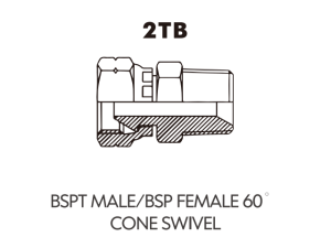 BSP BSPT ADAPTOR BSPT MALE/BSP FEMALE 60 CONE SWIVEL