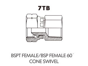 BSP BSPT ADAPTOR BSPT FEMALE/BSP FEMALE 60CONE SWIVEL