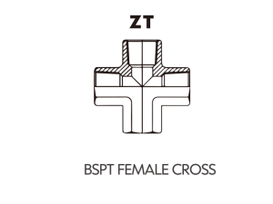BSP BSPT ADAPTOR BSPT FEMALE CROSS