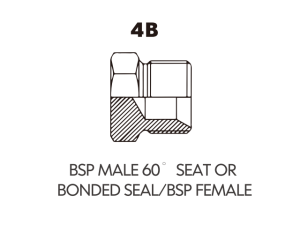 BSP BSPT ADAPTOR BSP MALE 60 SEAT ORBONDED SEAL/BSP FEMALE