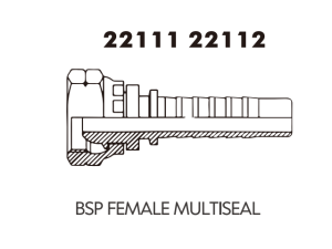 BSP FEMALE MULTISEAL