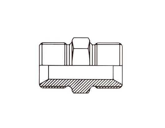 BSP BSPT ADAPTOR
