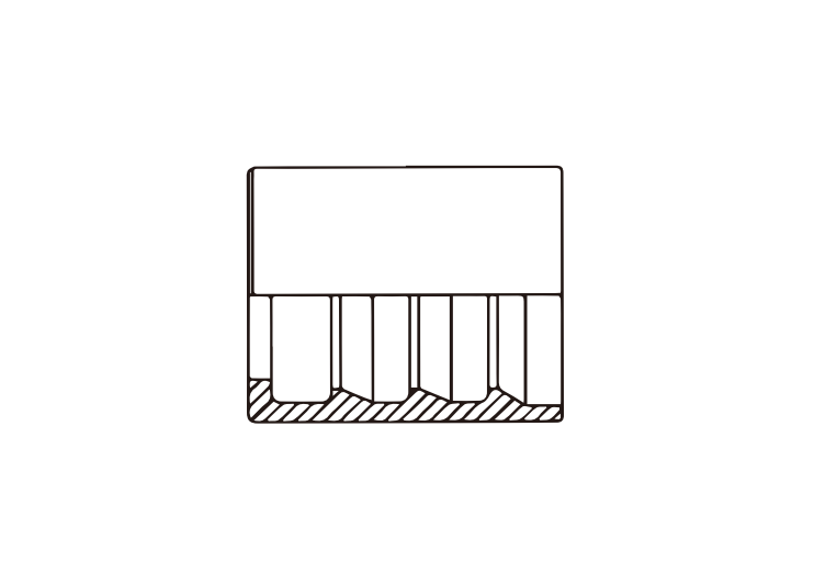 Ferrule