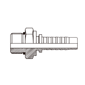 BSP BSPT Fitting