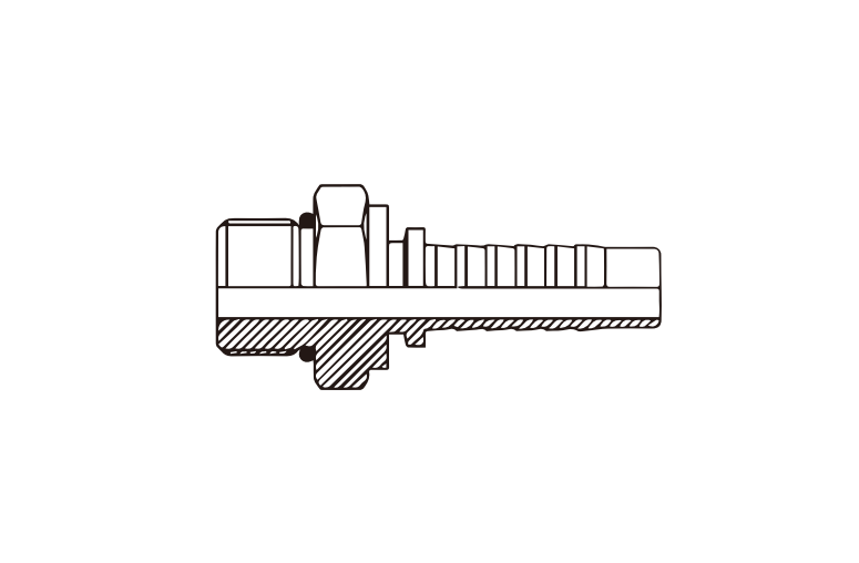 BSP BSPT Fitting